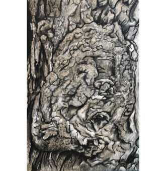 Burl