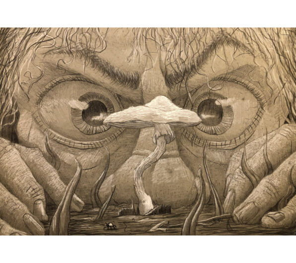Destroying Angel